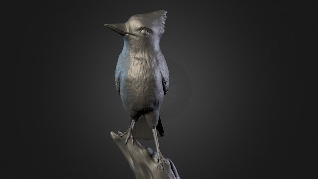 The Bird 3D Model