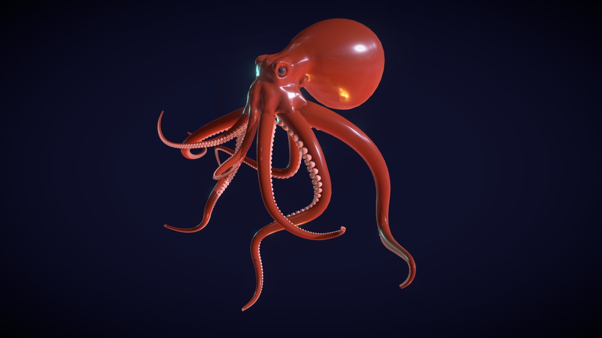 octopus - Download Free 3D model by s4dned [f2e89c3] - Sketchfab