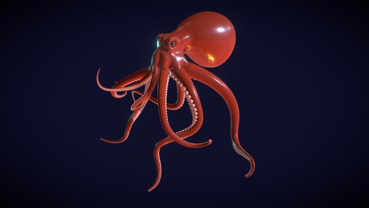 octopus 3D Model
