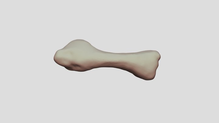 huemul 3D Model