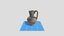 Loading 3D Model