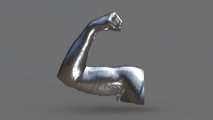 My Bicep