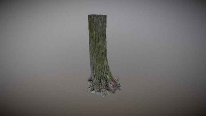 Tree5 3D Model