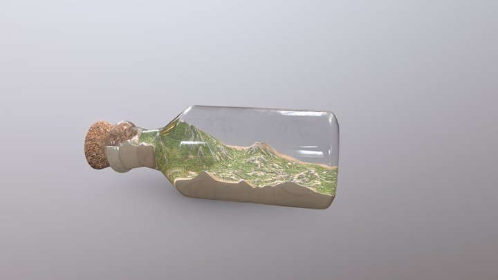Lost Bottle_01 3D Model