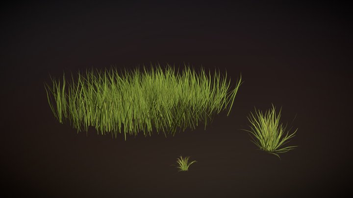Grass 3D Model