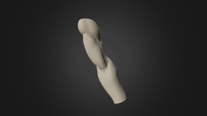  Hand Study 2 3D Model