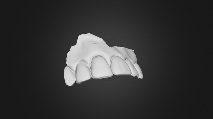 #8-1 Wax Group 3 3D Model