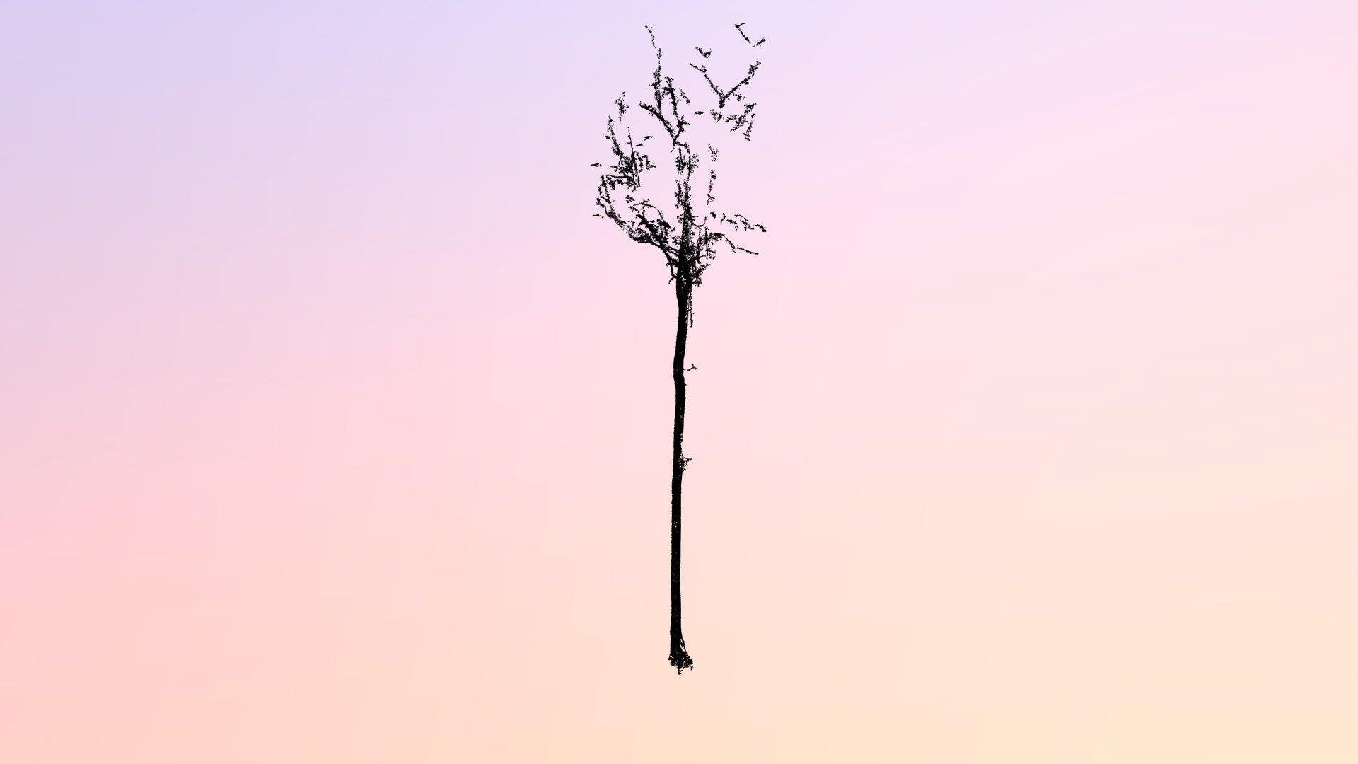 tree_44.las