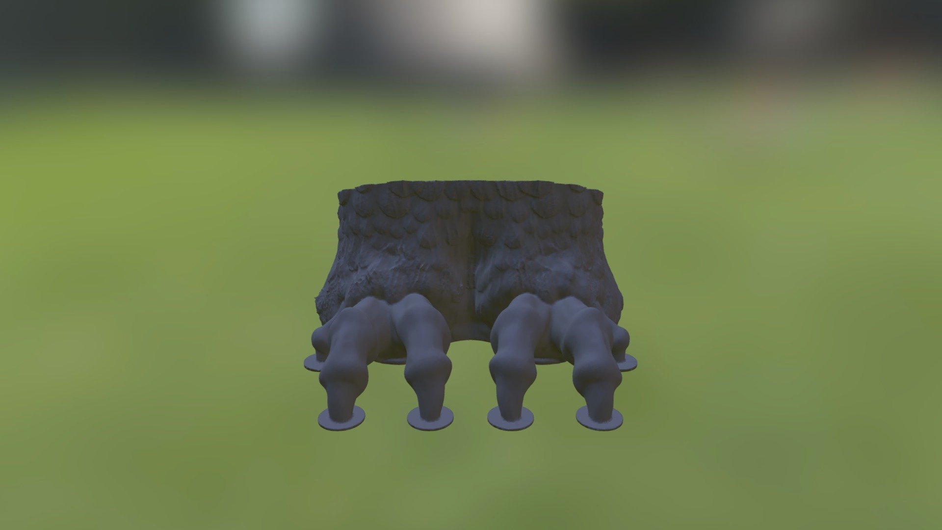 Owl Feet