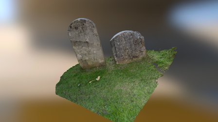 Pet graveyard 3D Model