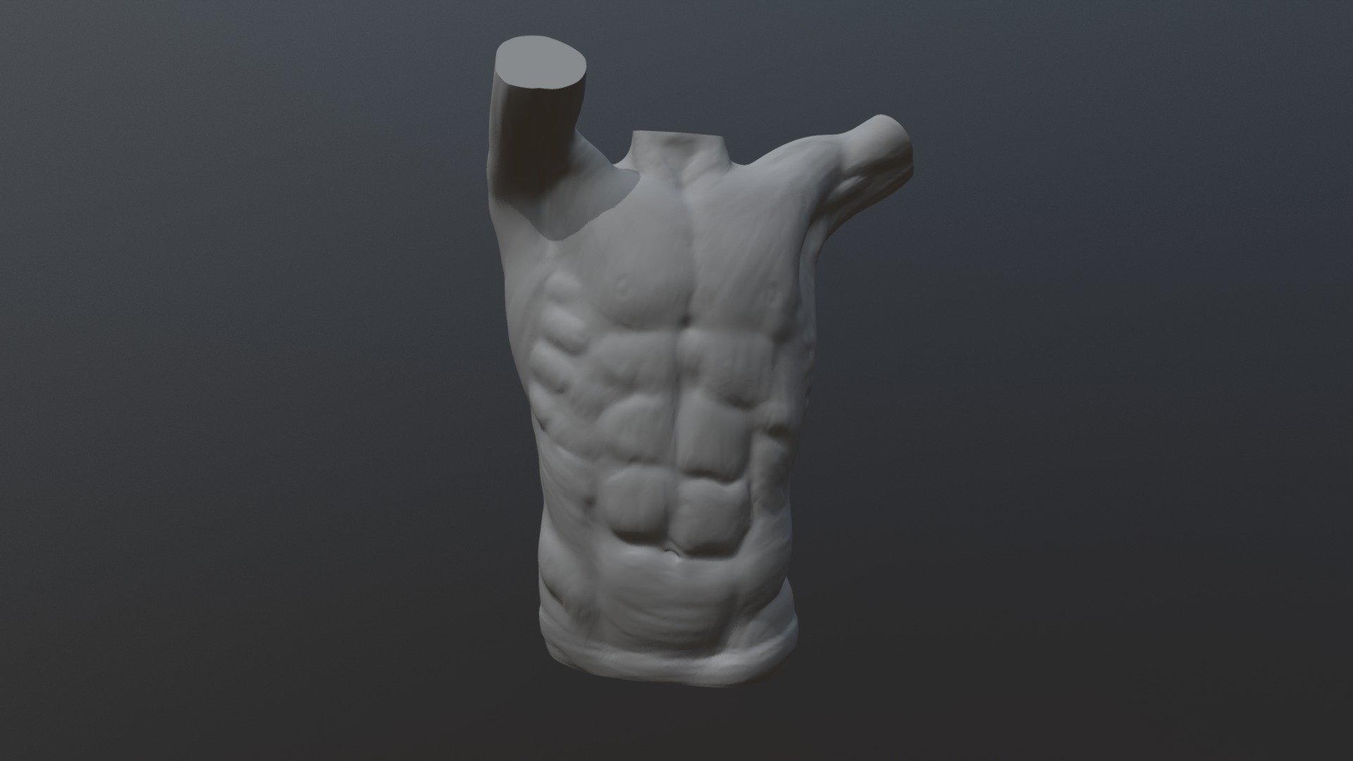 Male Body