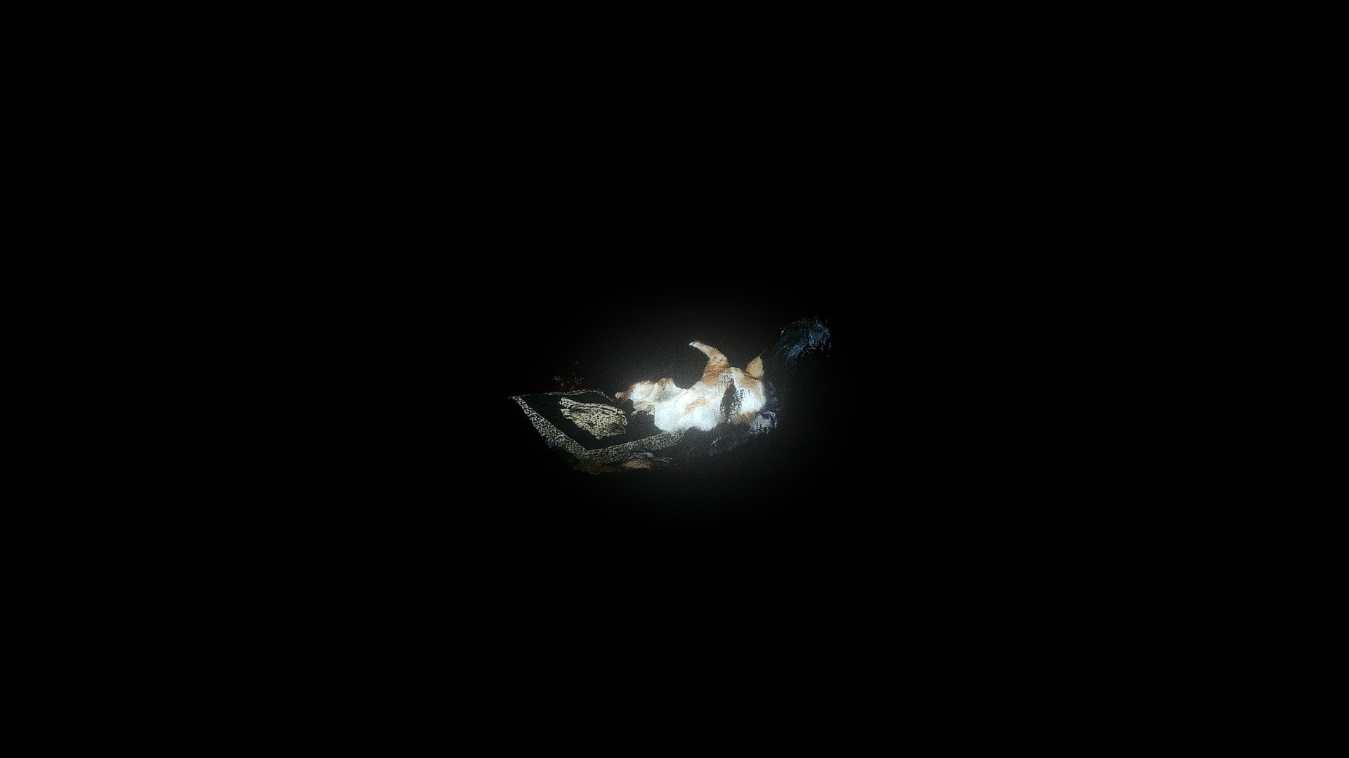 Point Cloud of my cat sleeping