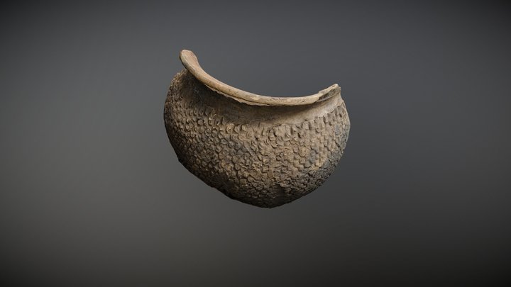 Rouletted Colonoware Vessel Fragment 3D Model