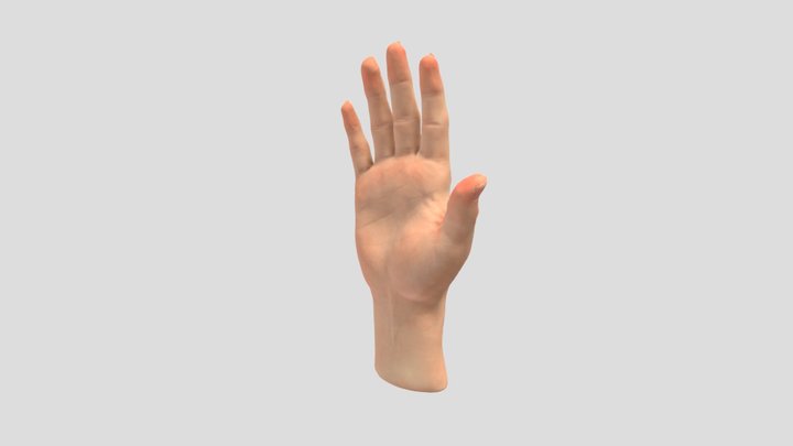 Hand - rigged 3D Model