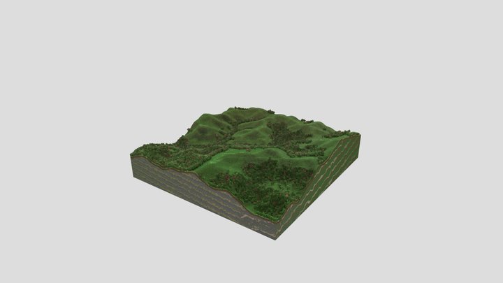 Estação Ecológica do Tripuí - GeoMinasCraft 3D Model