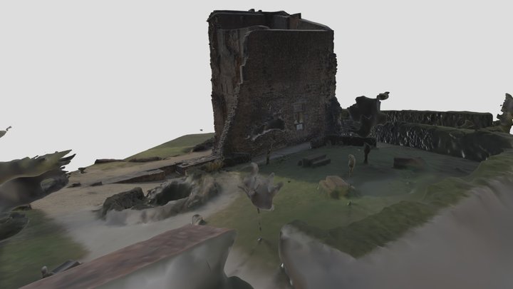 Model Tour d'Anjou 3D Model