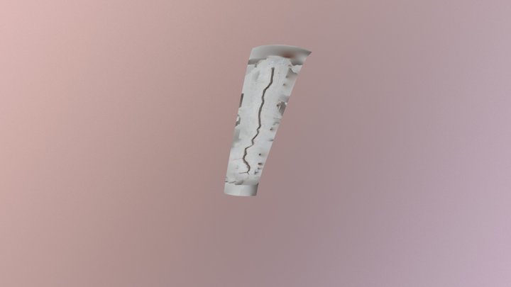 Grieta_1 3D Model