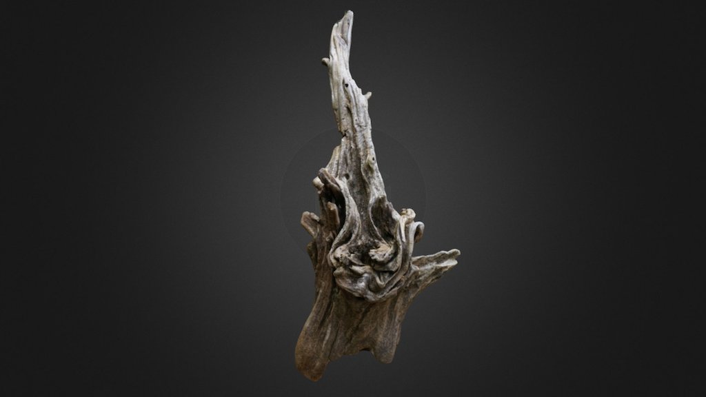 Elfwood