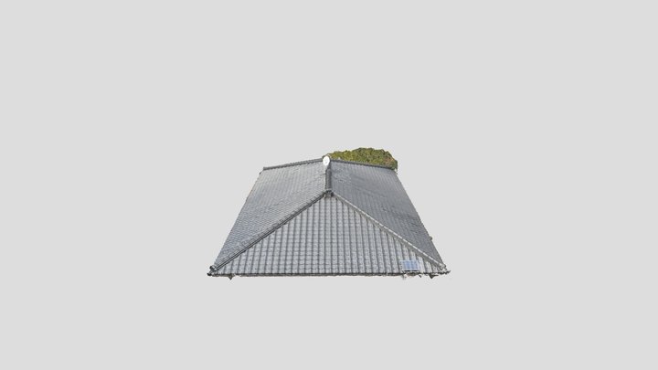 Roof 3D Model