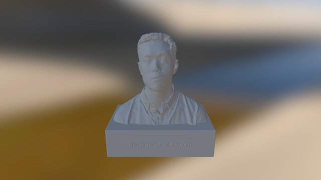 Andrew Award Zip 3D Model