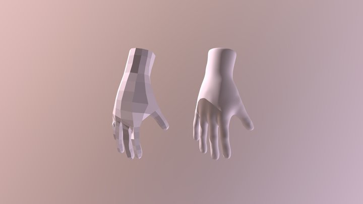Hand Topology 3D Model