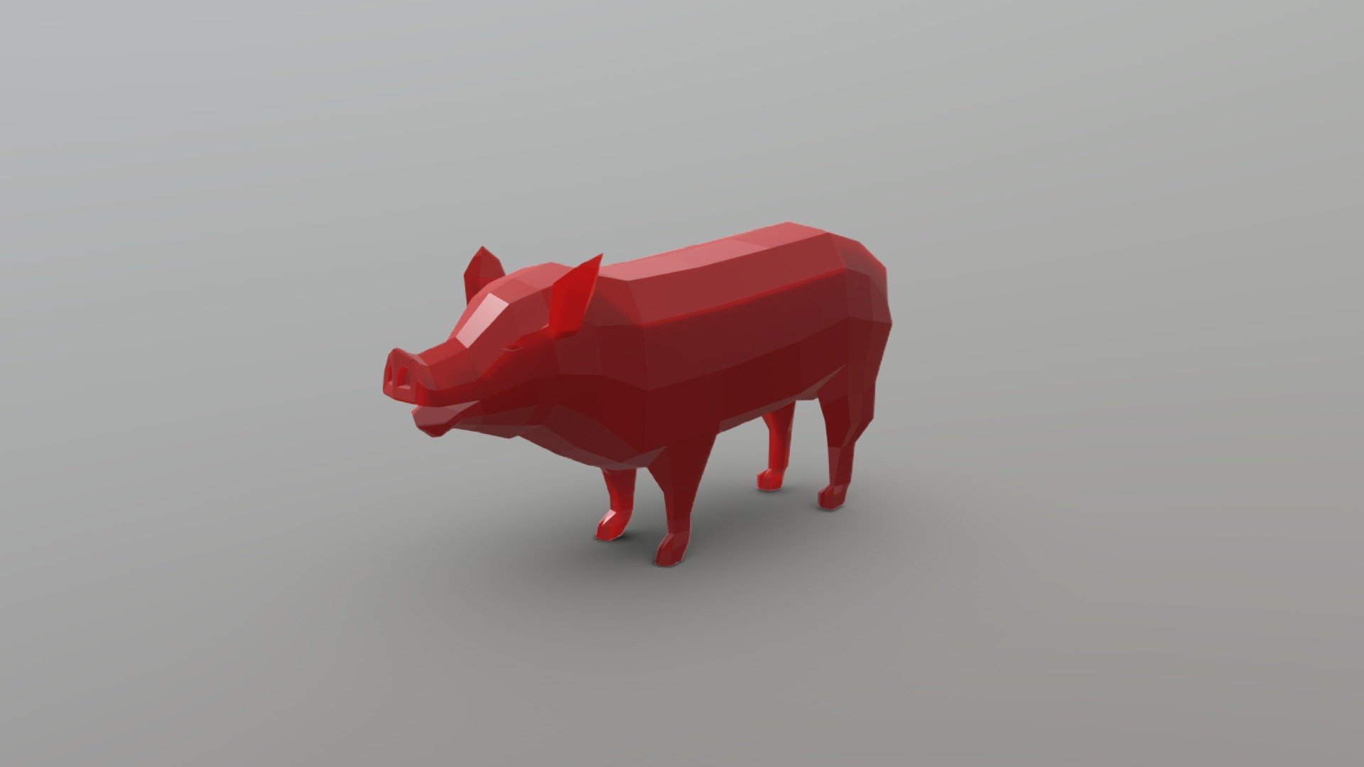 Pig