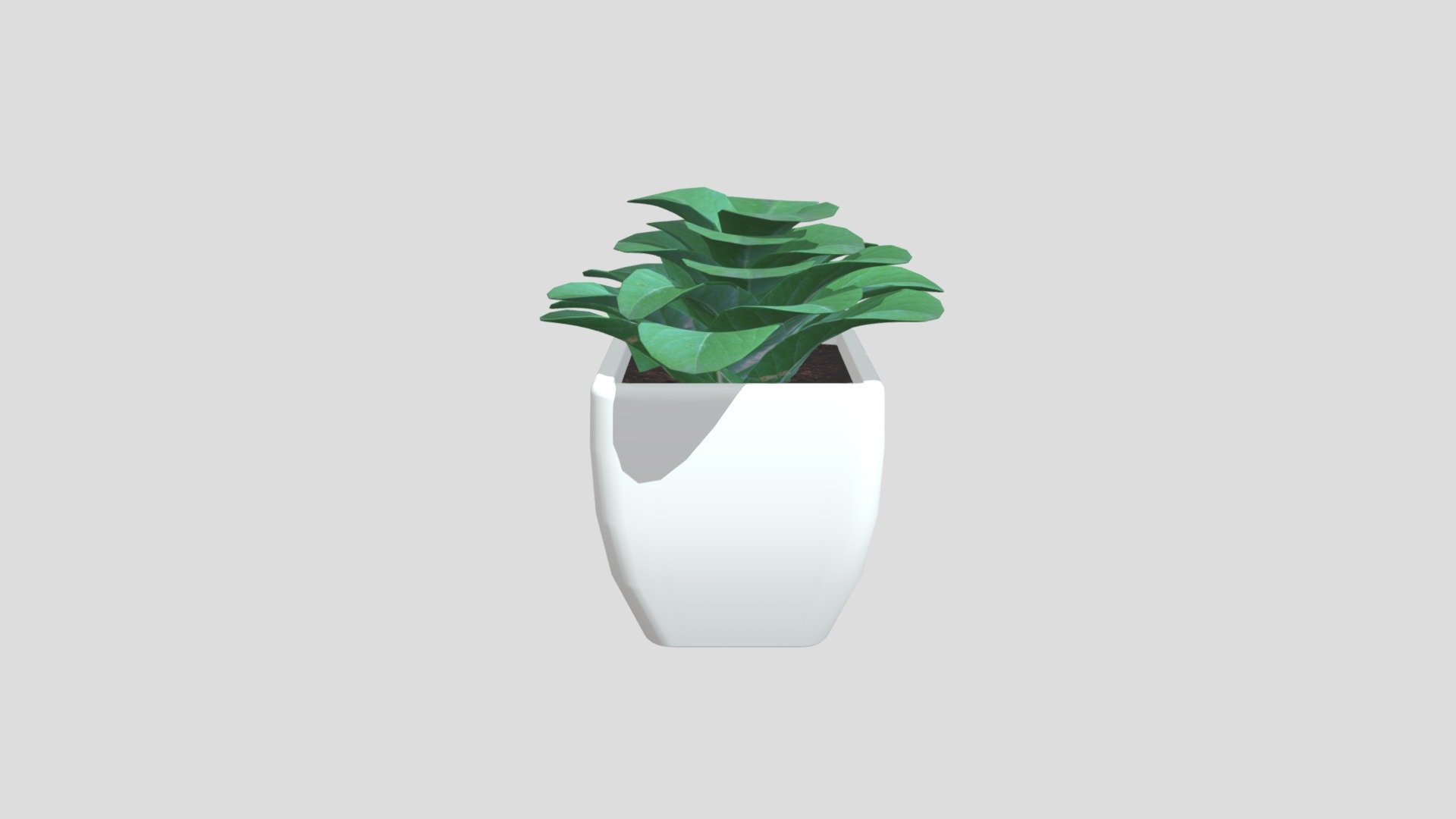 Wolfe Daniel 34046729 Wk9 Plant