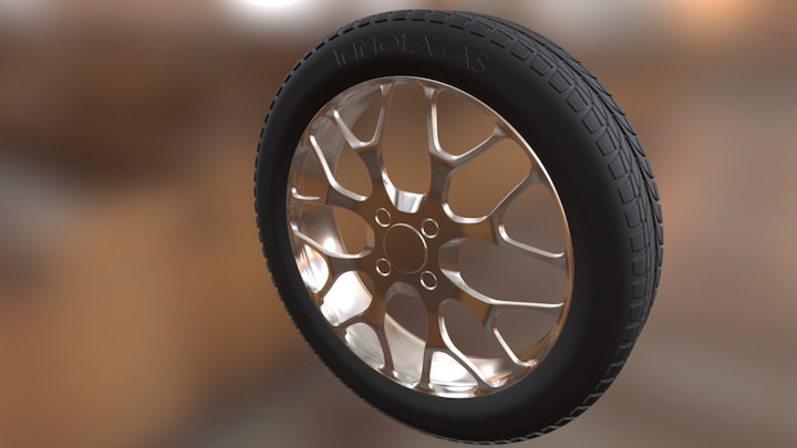 Tire Exercise 3D Model