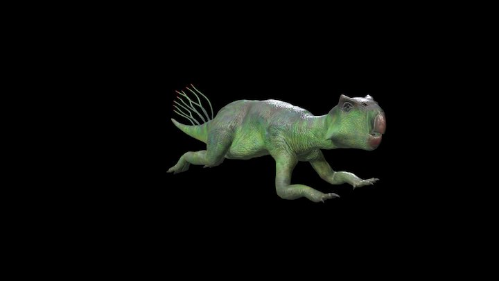 Psittacosaurus 嬰鵡嘴龍 3D Model