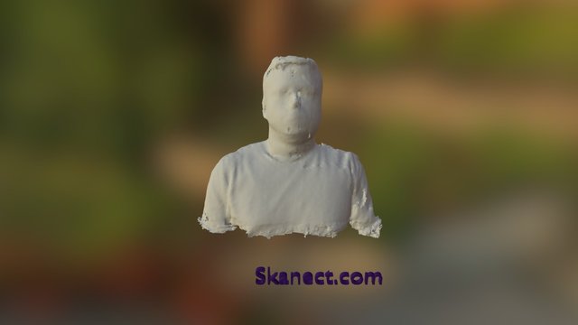 Kinect 3dscan 3D Model