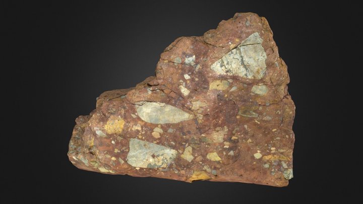 Conglomerate 3D Model