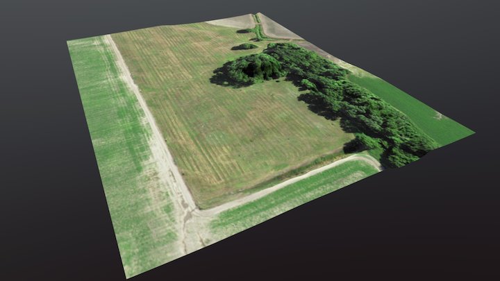 Hollywood DEM and Aerial Photo Overlay 3D Model