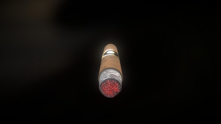 Cigar (Used) 3D Model