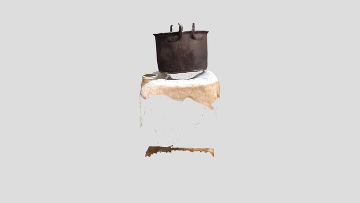 rice_scan_in_pot 3D Model