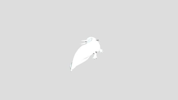 Axolote 3D 3D Model