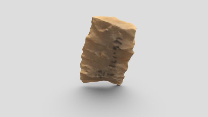 Partial Paleoindian Projectile Point 3D Model