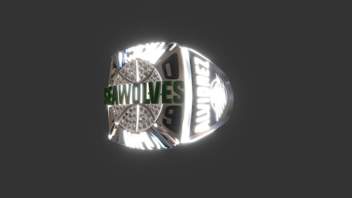 SEAWOLVES 3D Model