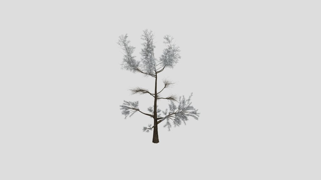 Sj Summer Breeze Forest Pine