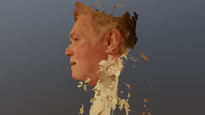Schmiedi Photogrammetry 3D Model