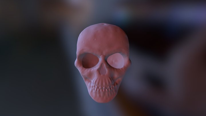 Skull 3D Model