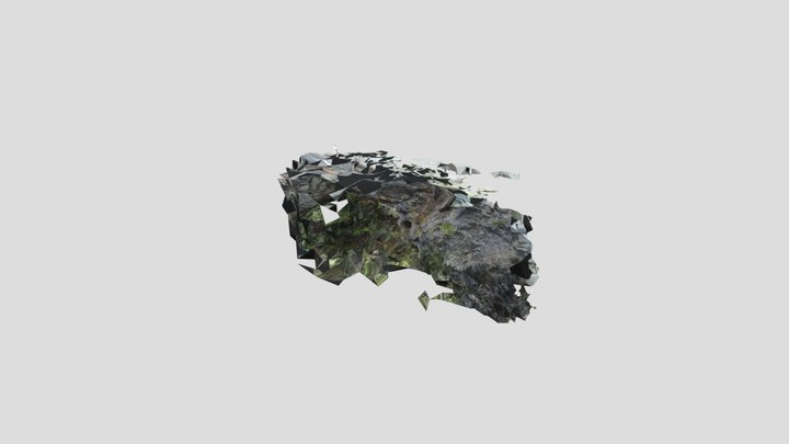 Overhanging rock 3D Model