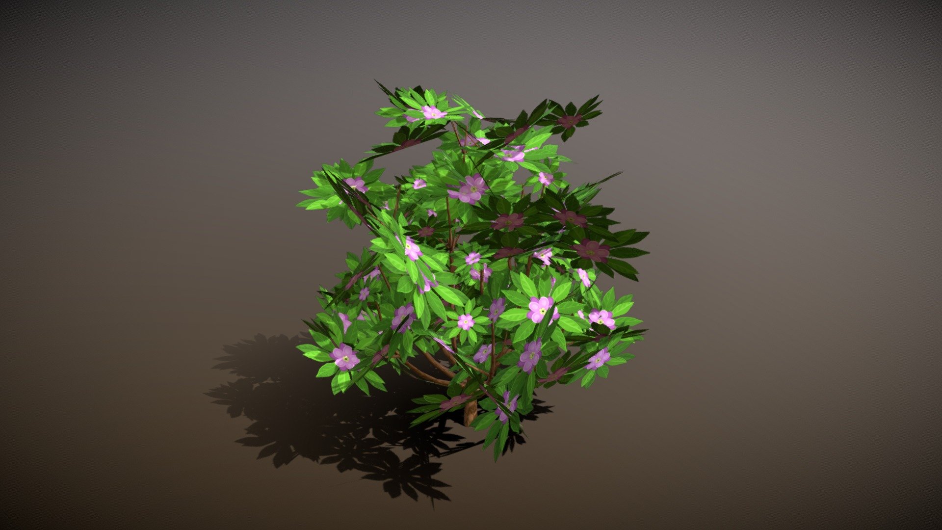 Round Bush