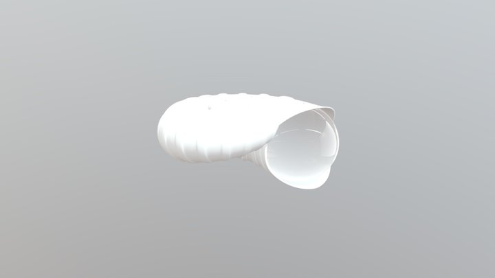 Bilal Shell Updated 3D Model