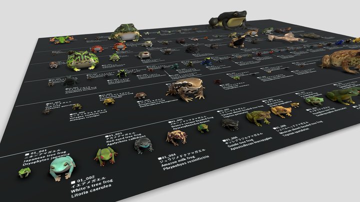 100 kinds of frogs 3D Model