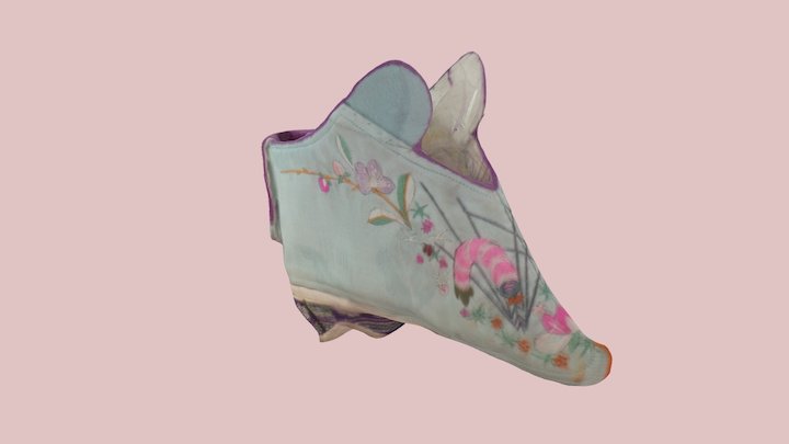 Lotus Shoe 3D Model