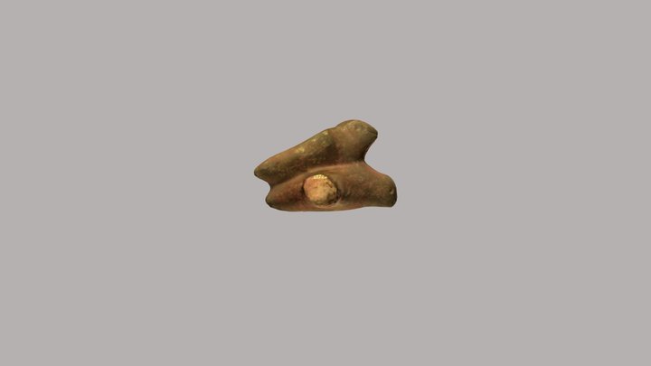 Zoólito 2663 3D Model