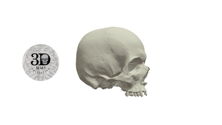 PZT-1 3D Model