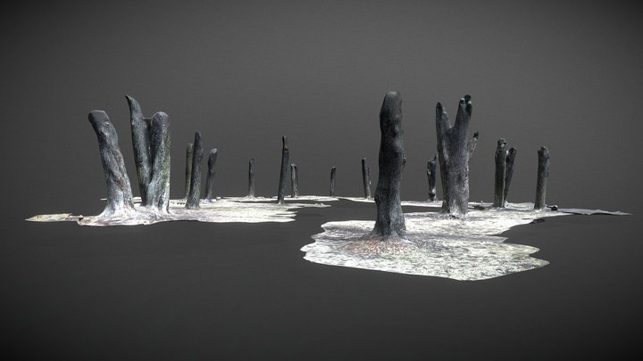 Treestumps in park 3D Model