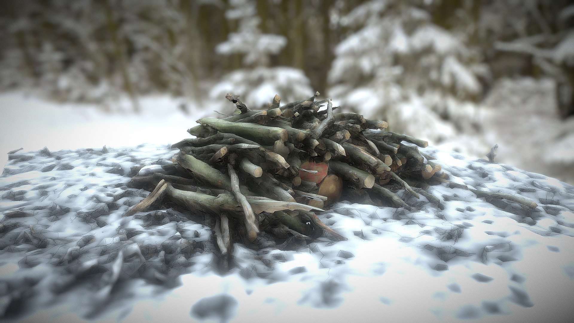 Snowbound firewoods