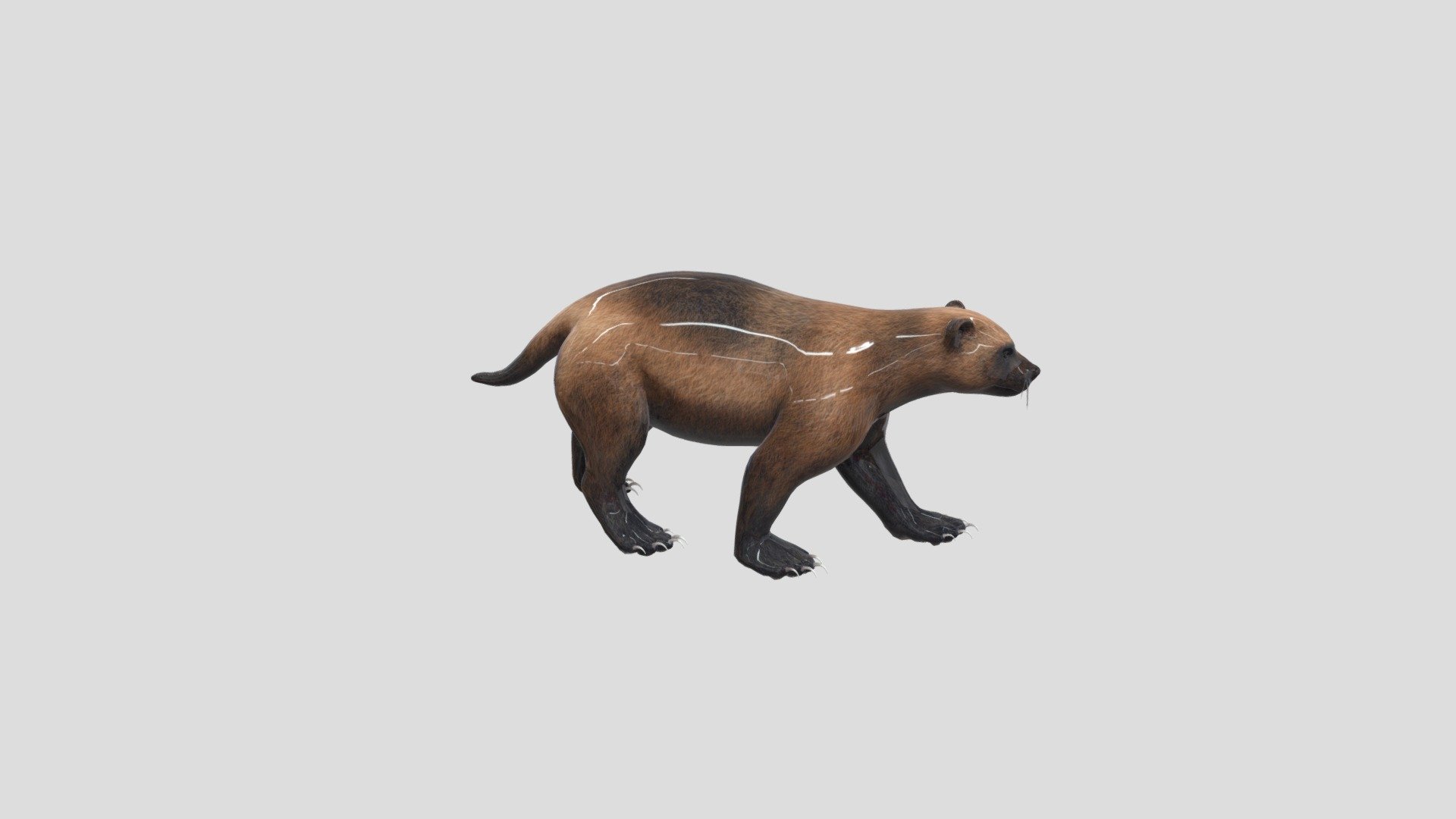 росомаха - Download Free 3D model by caplazavrmem (@Heronzavr) [f33b3f6 ...
